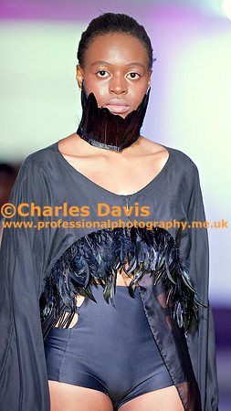 MFA 2013 1767