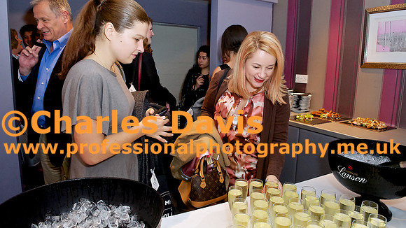 MFA 2013 909