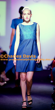 MFA 2013 1539
