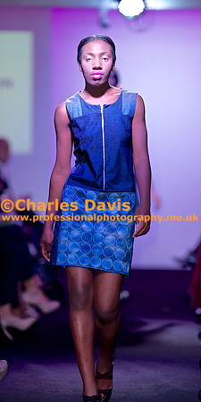 MFA 2013 1559