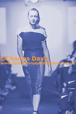 MFA 2013 1569