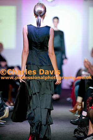 MFA 2013 1333