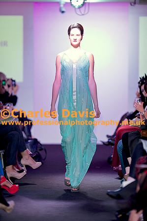 MFA 2013 1593
