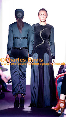 MFA 2013 1313