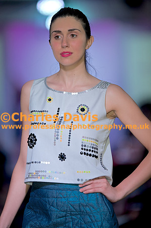 MFA 2013 1553
