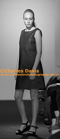 MFA 2013 1537