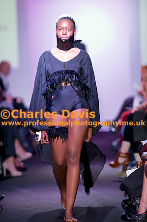 MFA 2013 1765
