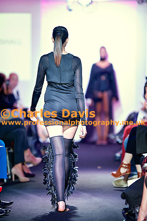 MFA 2013 1761
