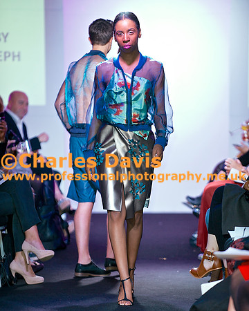 MFA 2013 2081