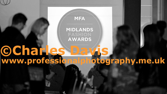 MFA 2013 233 - Version 2