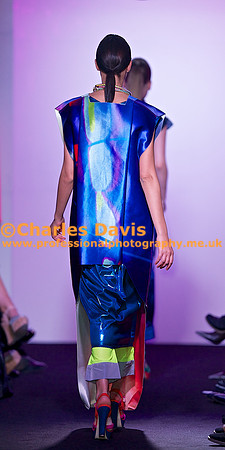 MFA 2013 1069 - Version 2
