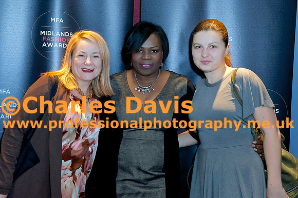 MFA 2013 905