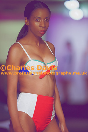 MFA 2013 1265 - Version 2