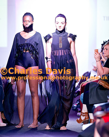 MFA 2013 1771