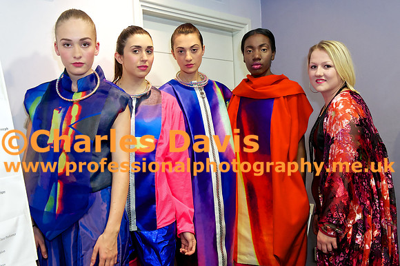MFA 2013 1817