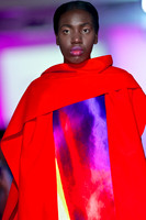 MFA 2013 1089