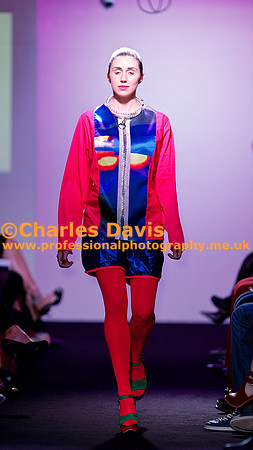 MFA 2013 1081