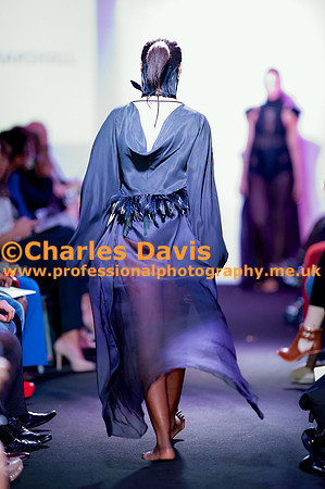MFA 2013 1769