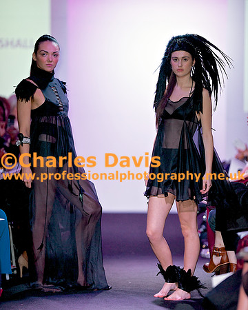 MFA 2013 1781
