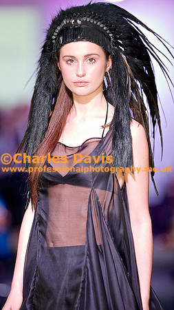 MFA 2013 1785