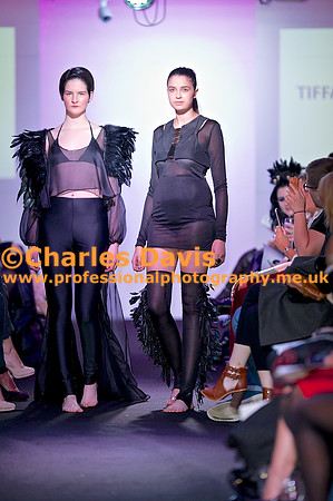 MFA 2013 1755